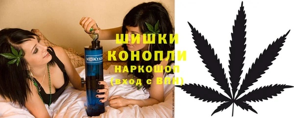 PSILOCYBIN Алзамай