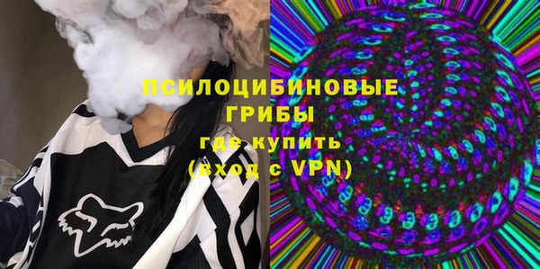 прущие грибы Алексеевка