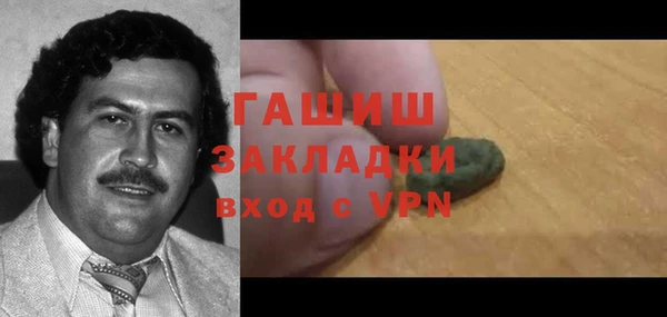 PSILOCYBIN Алзамай