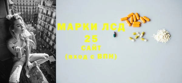 PSILOCYBIN Алзамай