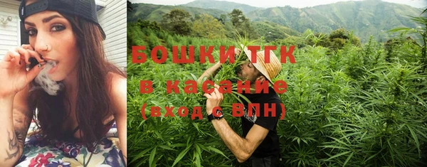 PSILOCYBIN Алзамай