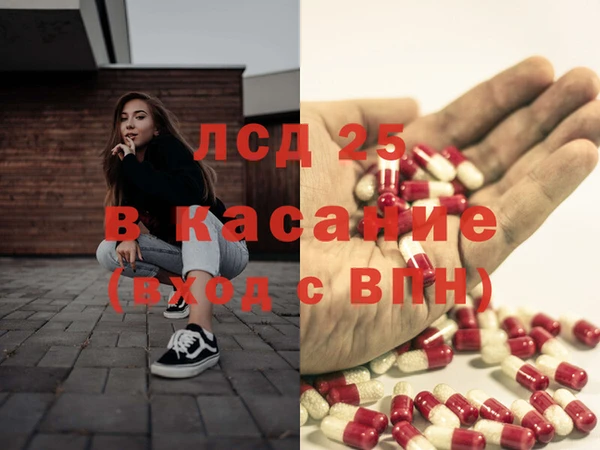 PSILOCYBIN Алзамай