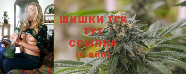 PSILOCYBIN Алзамай