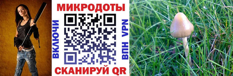Псилоцибиновые грибы мухоморы  мега маркетплейс  Нижняя Салда 